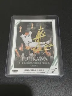 Item thumbnail for item a8ec76d0-95df-48f8-b8f6-3e8b28b3297b