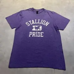 Stallion Pride競馬カレッジロゴグラフィックTシャツM15