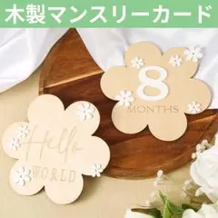 Item thumbnail for item 6512261d-9c93-4678-8314-e012b44ad55d