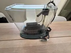 2026年最新】ルノアール 水槽の人気アイテム - メルカリ