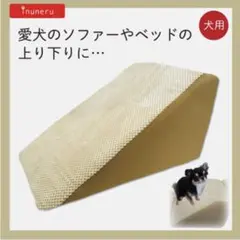 Item thumbnail for item 0db77291-d8e8-4199-b1f4-4d5270caf3eb