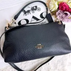 極美品☆COACHコーチ ショルダーカメラバッグ レザー ネイビー シボ革
