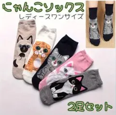 靴下　2足　猫　レディース　ソックス　かわいい　にゃんこ