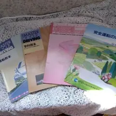 Item thumbnail for item 379f4f85-3473-488b-8baf-c7df2e9e1ac9