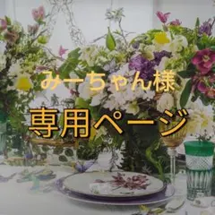 みーちゃん様　専用