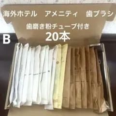 海外 外国　ホテルアメニティ 歯ブラシ　使い捨て歯ブラシ　歯磨き粉付　まとめ売り