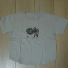 コムサ イズム Tシャツ