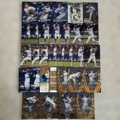 中日ドラゴンズ/プロ野球チップスカードBBMカード