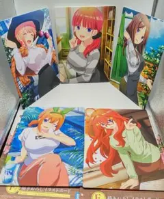 【未使用】五等分の花嫁 描きおろしイラストボード 通常ver. コンプセット