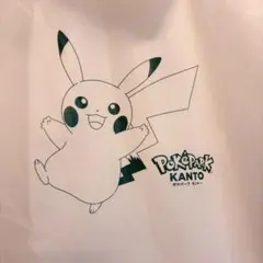 ポケパークカントー限定 レインコート 雨合羽 カッパ ピカチュウ