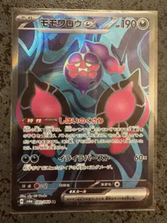 キチキギス SAR SR イイネイヌ SAR SR モモワロウ SAR SR 他 PSA連番】イイネイヌ、マシマシラ、キチキギス、モモワロウ SAR