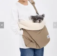 Item thumbnail for item 31e1caab-41ed-4b88-9846-cb8c4c235f9c