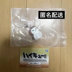 ハイキュー!! アニマルゆらゆらマーカー vol.2 アカアシフクロウ