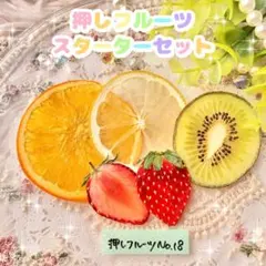 2026年最新】ゲルスターターの人気アイテム - メルカリ