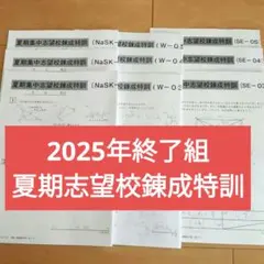 2026年最新】夏期集中志望校錬成特訓の人気アイテム - メルカリ
