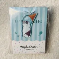 mofusand アクリルチャーム 5個セット