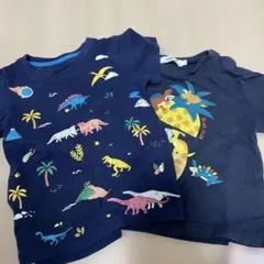 恐竜デザインTシャツ2枚とキャップセット