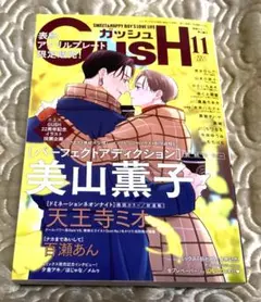 【専用】GUSH11月号 美山薫子「パーフェクトアディクション」＋表紙セット