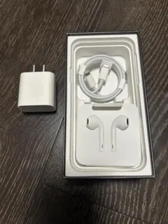 Apple Lightning USB-C充電ケーブルアダプター有線イヤホン