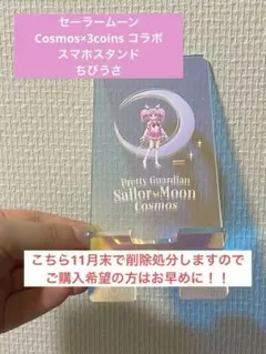 セーラームーン サンリオ 3COINS コラボ まとめ売り セーラームーン