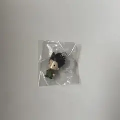 HUNTER×HUNTER めじるしアクセサリー ゴン