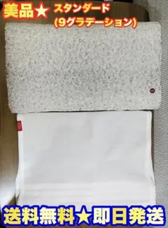 ★定価3.3万】BRAIN SLEEP PILLOW ブレインスリープ ピロー