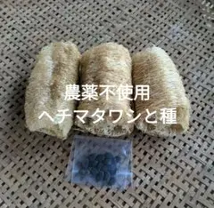 農薬不使用無漂白ヘチマタワシと種セット　現品