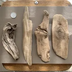 Item thumbnail for item 1e3c492d-bf3c-4c8b-af14-a125cc467243