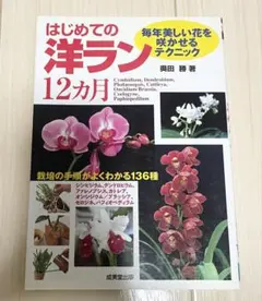 はじめての洋ラン12カ月