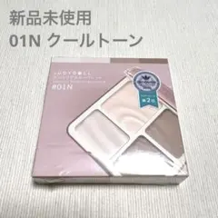 ジュディードール メリハリマスターパレット 01Nクールトーン