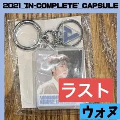 セブチ　ウォヌ seventeen カプセルトイ　アンコン　B572