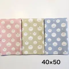 ランチョンマット　40×50 小学校 3枚セット