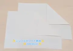 新品ランチョンマット2枚セット《No. SB30》