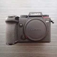 Panasonic LUMIX S5 ボディのサムネイル