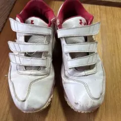 Item thumbnail for item d6eed4b9-cb5e-45f5-ac9e-9a334a4874a7