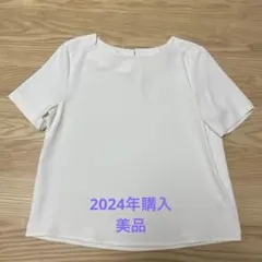 Item thumbnail for item a4b7d4ff-a548-45b0-9618-ae367696d9ca