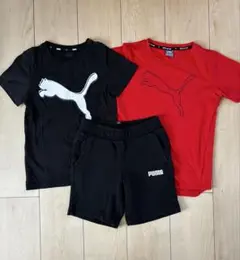 PUMA Tシャツ　ショートパンツ　3点セット