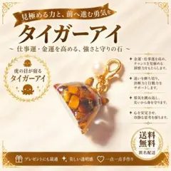 仕事運 金運 タイガーアイ めんだこチャーム レジン パール　天然石　目印