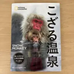 こざる温泉 会いに行けるしあわせ動物