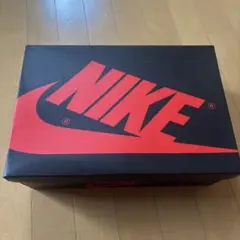 AIR JORDAN 1 HIGH ブリーチドコーラル