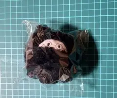 日本三國　くるみたぴぬい　賀来泰明