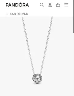 Pandora フィリピン 限定チャーム 定価13,650円 - メルカリ
