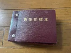表生地標本 52ページ 赤