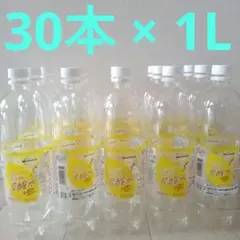 空ペットボトル　30本　炭酸水　1000ml 1L