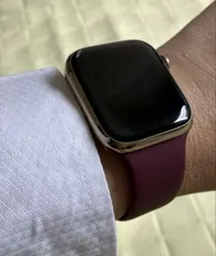 【早い者勝ち‼︎廃盤‼︎】Apple Watch スポーツバンド プラム