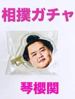 大相撲ガチャ ヘアピン 琴櫻関　ヘアクリップ　ガチャ　大相撲
