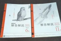 進研模試 解答解説のみ 2024年度6月 & 2022年度11月大学入学共テ模試のサムネイル