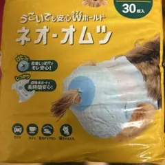 Item thumbnail for item 5d117371-1249-4cf0-81cd-d6aafaaa5a2e