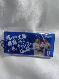 中日ドラゴンズ　応援歌キーホルダー　大島洋平　ドラゴンズガチャ①