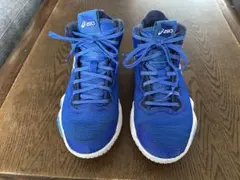 アシックス　 NOVA SURGE 2 ノバサージ2 26.0 cm バスケ